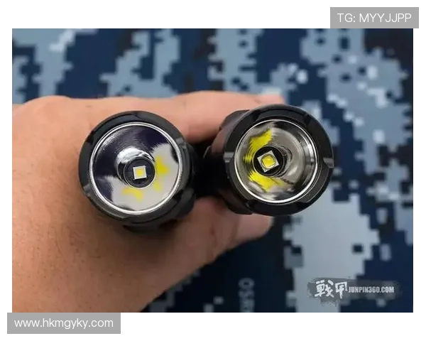 奥德加德成长关键因素：技术打磨与战术适配持续提升