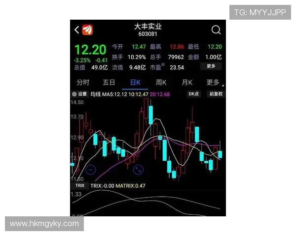 帕尔默能否进入主力阵容的竞争点与适配性分析