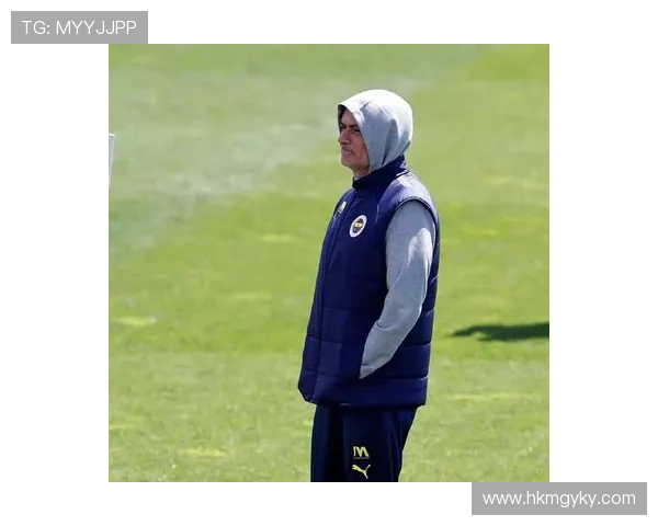 弗拉霍维奇与奥斯梅恩：意甲双锋战术角色对比